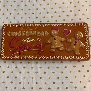 Too Faced Gingerbread Xtra Spicy eyeshadow Palette